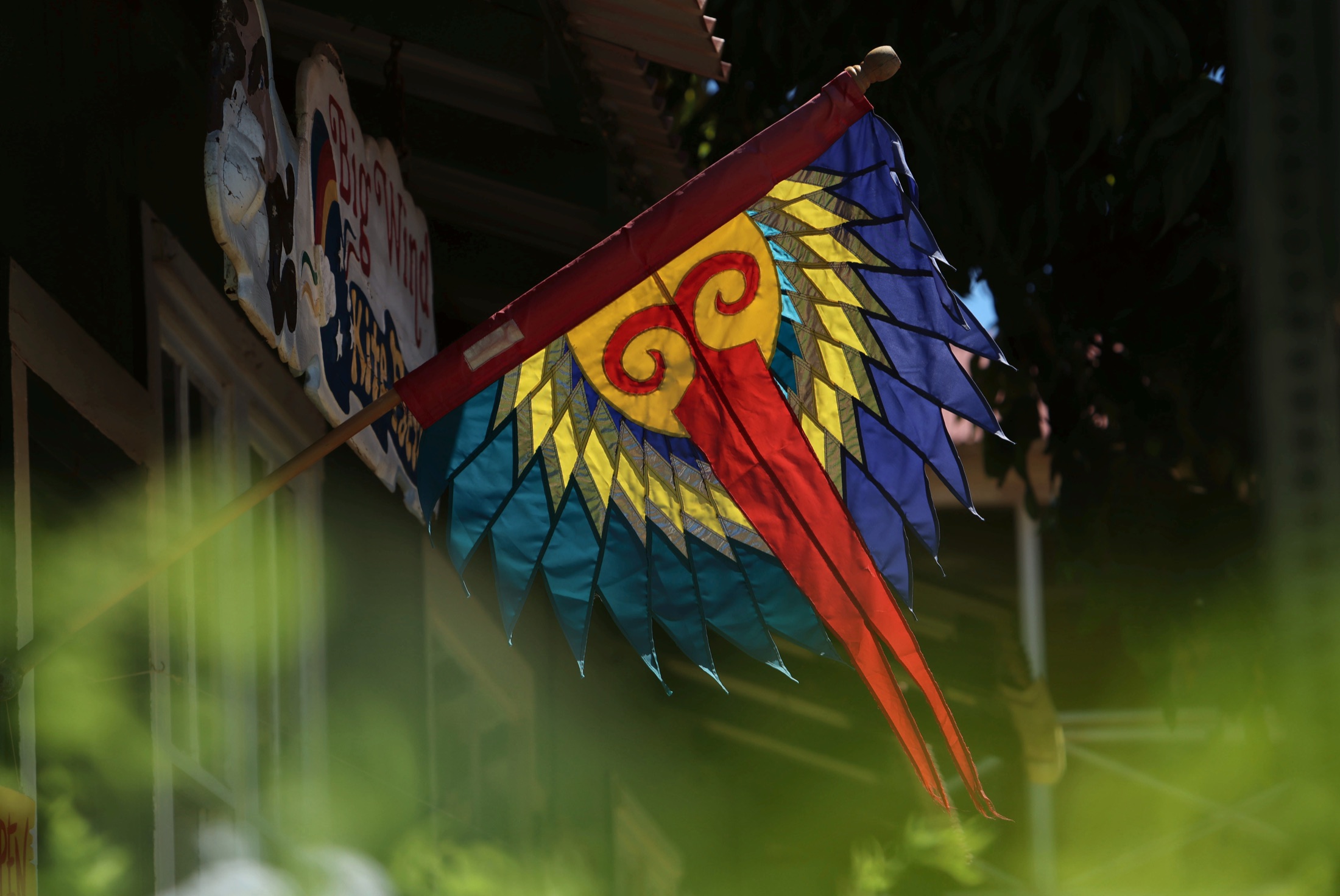 Backlit tropical flag